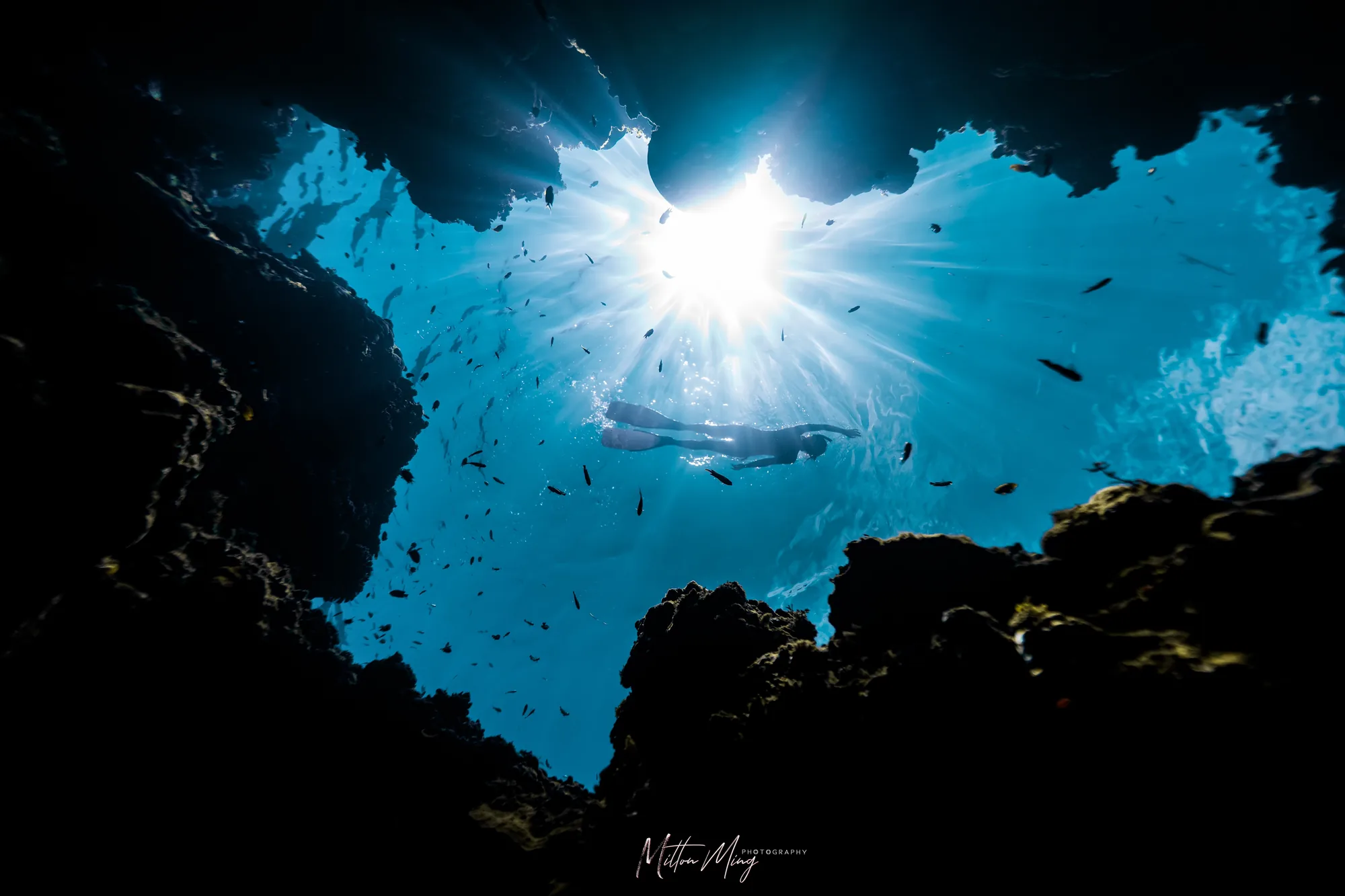 自由潜水 — 喵腾 MIL DIVING 潜水课程