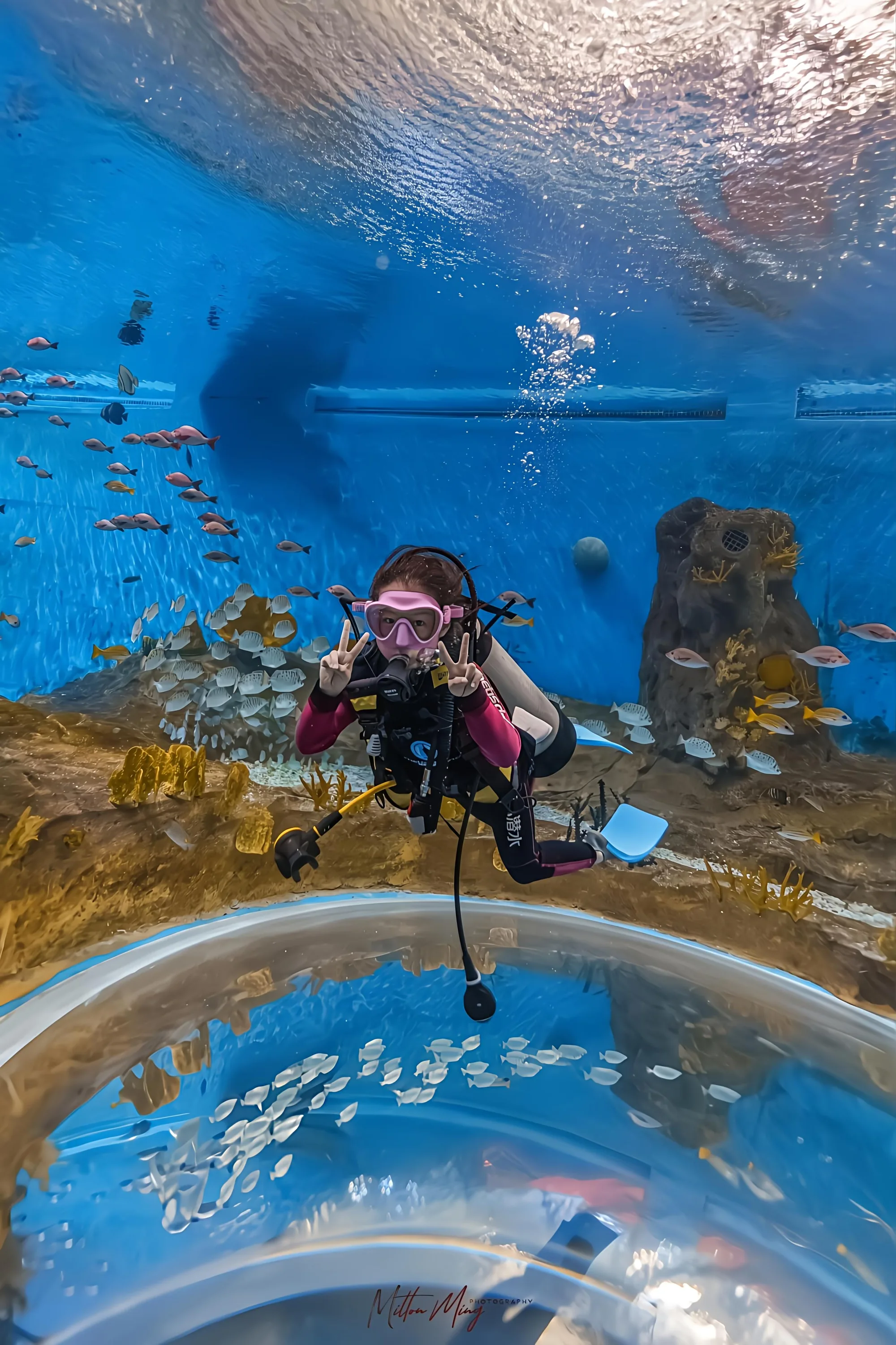 儿童青少年潜水 — 喵腾 MIL DIVING 潜水课程