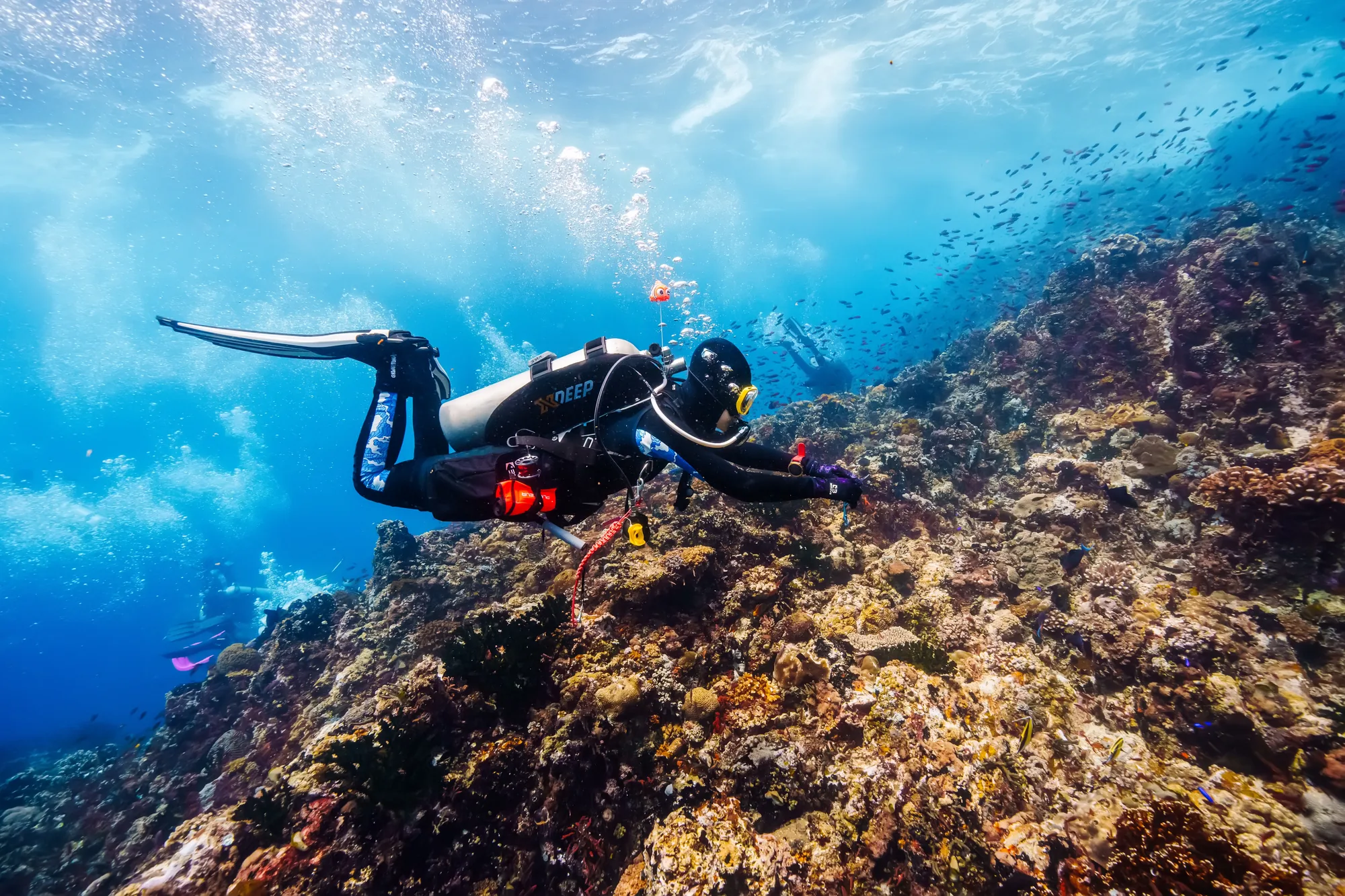 水肺潜水 — 喵腾 MIL DIVING 潜水课程