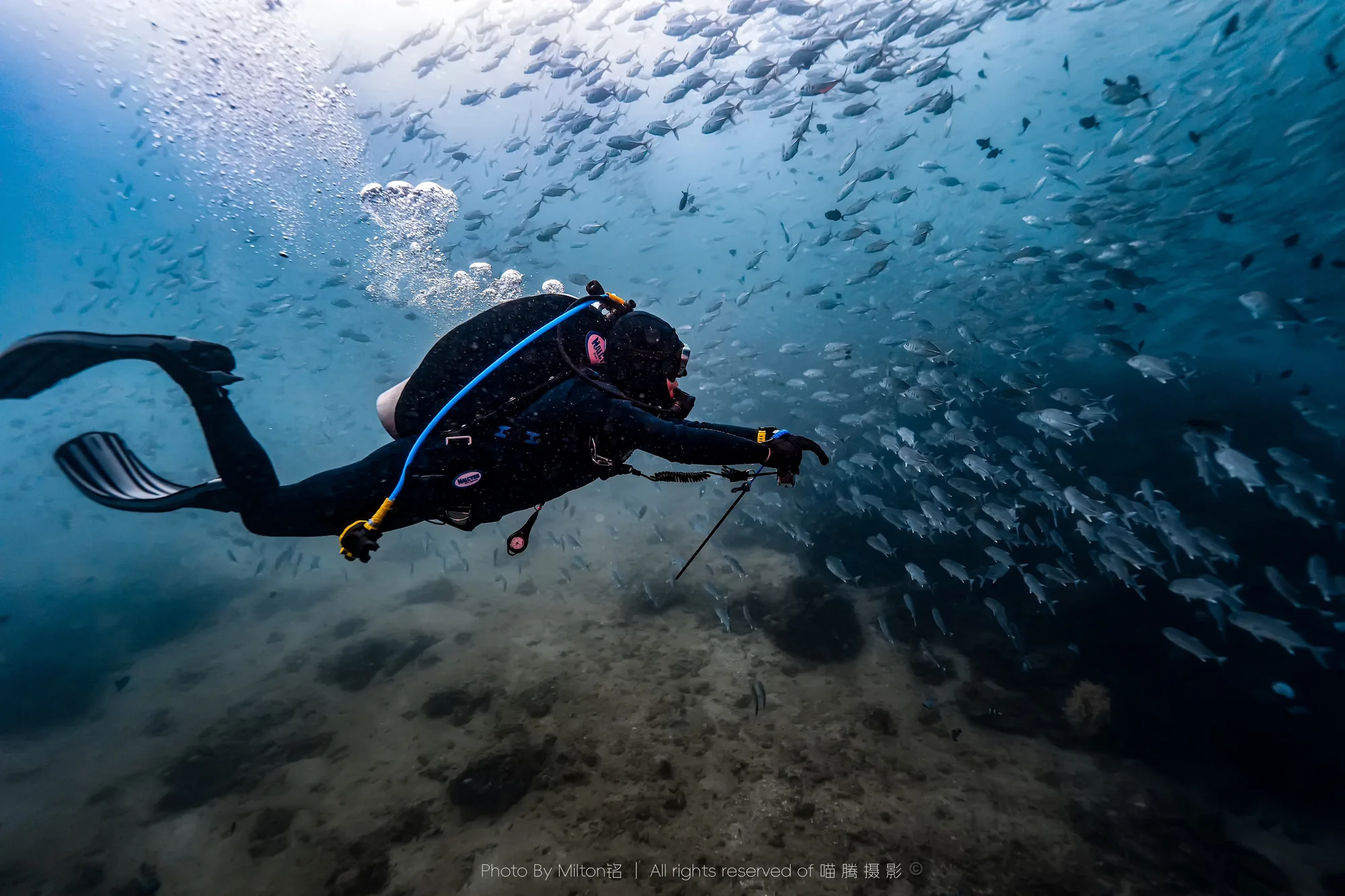 专长课程 — 喵腾 MIL DIVING 潜水课程